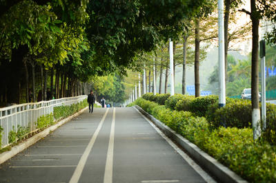 商標實質(zhì)審查是什么 商標實質(zhì)審查具體包括哪些內(nèi)容