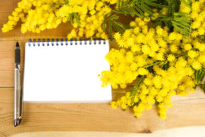 個人注冊商標的流程和費用？