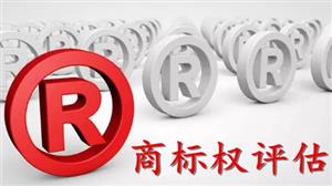 商品出口是否構成商標意義上的使用？