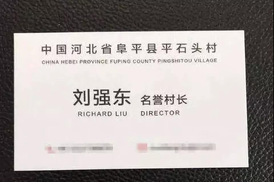2017年11月28日，劉強東受聘為河北阜平縣平石頭村“名譽村長”。