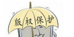 誰動了高校畢業設計作品的版權？