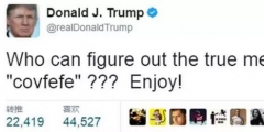 特朗普臆造詞“COVFEFE”商標被無效，商評委：不良影響！