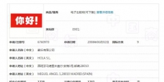 Hello=你好？ 近似不近似，看法院說法！