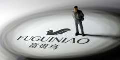 2.27億！富貴鳥商標(biāo)+專利打八折二次拍賣，誰來接盤？