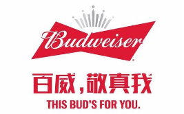 假冒 “百威”商標罐裝啤酒，廣西玉林興業縣法院審理首起侵犯知識產權罪案件