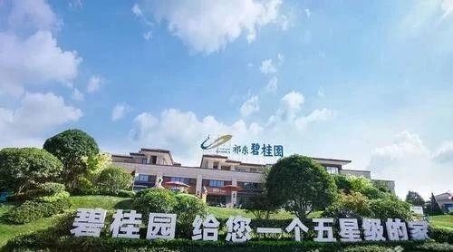12件全部被駁回！碧桂園經典廣告語申請失敗