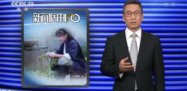 月收入千萬，背后公司早已為網(wǎng)紅李子柒注冊百余件商標(biāo)