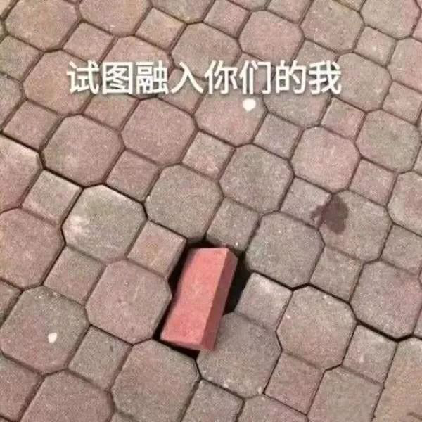 “nss、xswl、pyq、cx、zqsg、走花路……”細數那些被注冊商標的00后黑話