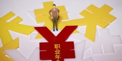職業年金是什么意思(職業年金的概念)