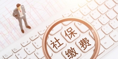 靈活就業養老保險交哪個檔次好(靈活就業人員參保賬戶計入方式)