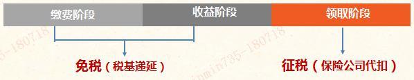 個人稅收遞延型商業養老保險怎么交(個稅延型養老保險是什么)