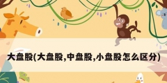 大盤股(大盤股,中盤股,小盤股怎么區分)