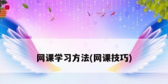 網課學習方法(網課技巧)