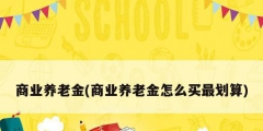商業養老金(商業養老金怎么買最劃算)