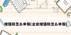 增值稅怎么申報(企業增值稅怎么申報)