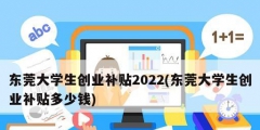 東莞大學生創業補貼2022(東莞大學生創業補貼多少錢)