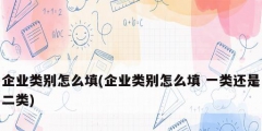 企業類別怎么填(企業類別怎么填 一類還是二類)