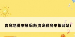 青島地稅申報系統(青島稅務申報網站)